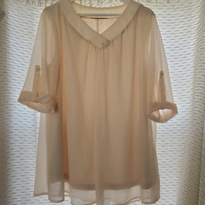 Loose Sheer Blouse